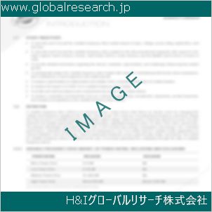 グローバルリサーチ調査資料のイメージ